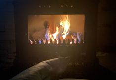 기타 4 Leyli Comfort