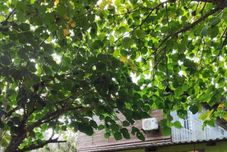 기타 Camping Internacional & Hostel