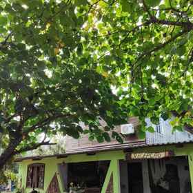 Reception 1 Camping Internacional & Hostel, Tancredo Neves Bridge Hotels