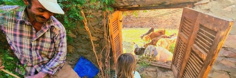 Khác Nubian Farm