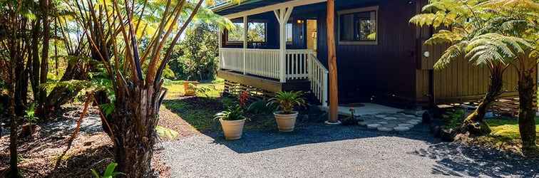 Lain-lain 'fern Cottage' Island Escape With Rainforest View!