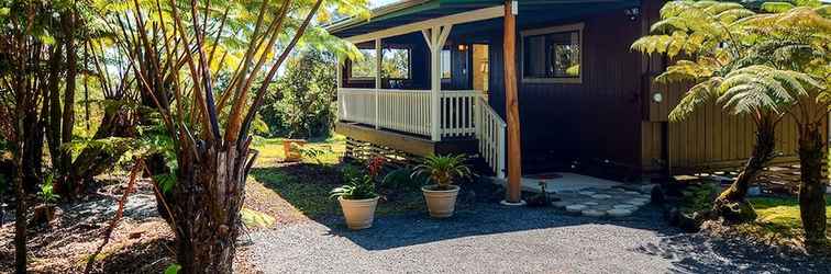 Others 'fern Cottage' Island Escape With Rainforest View!