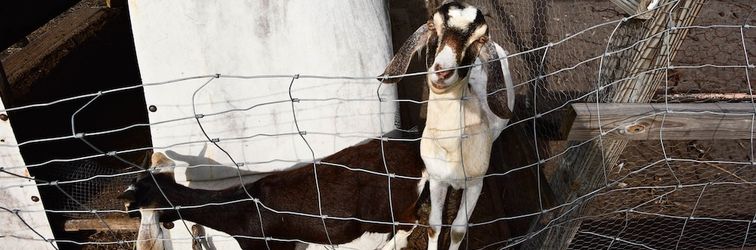 Others 40-acre Farm w/ Animals & Fishing in Sebring!