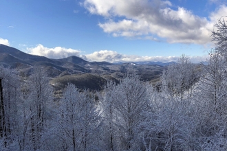 Khác 4 Cabin w/ BBQ + Games - Walk to Blue Ridge Parkway!