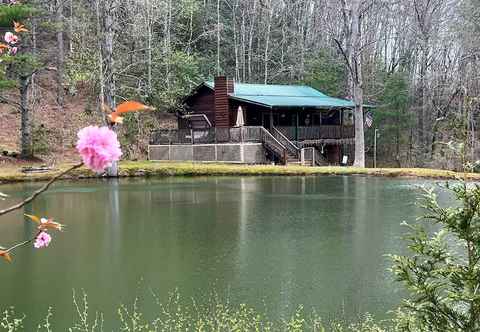 Others Mountain Getaway w/ Pond, Grill, & 2 Fire Pits!