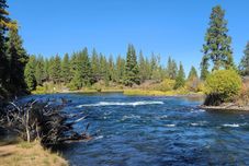 Others 'nature Retreat' at Seventh Mountain Resort!