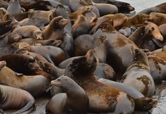 其他 3 'astoria Painted Lady' Historic Apt w/ River View!