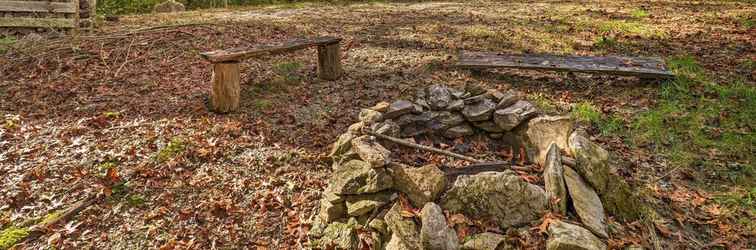 Others Secluded Dupont State Forest Home, Pets Welcome!