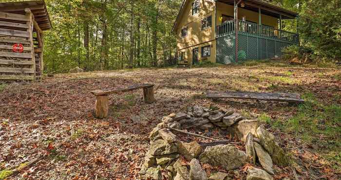 Others Secluded Dupont State Forest Home, Pets Welcome!