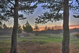 其他 4 Coastal Retreat in Long Beach: Walk to Attractions