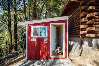 Others 4 New! Mountain Homestead: Swim, Hike & Camp On-site