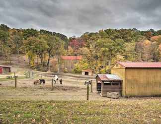 Others 2 Rustic 'clint Eastwood' Ranch Apt by Raystown Lake