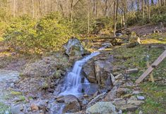 Others 4 Avalon Woods Riverfront Retreat: Walk to Waterfall