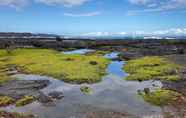 Lain-lain 2 'the Aloha Green House' Retreat w/ Ocean Views!