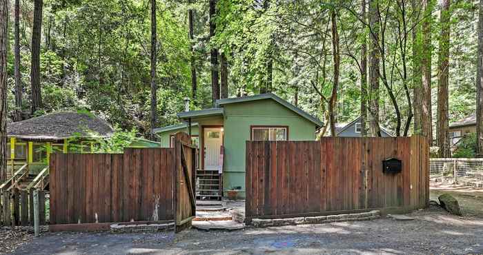 Others Quiet Cottage w/ Redwood Forest Views & Deck!