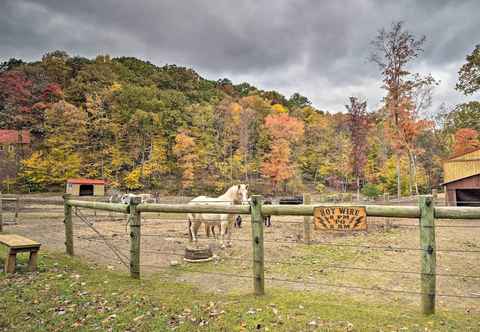 Others 'james West' Apt w/ 50+ Acres - Near Raystown Lake