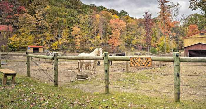 Others 'james West' Apt w/ 50+ Acres - Near Raystown Lake