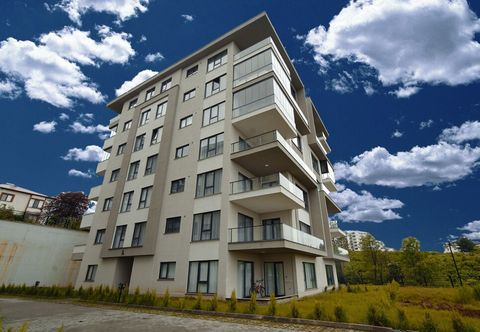 その他 Atlal Apart