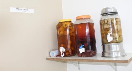 Others 2 Pousada Lyrios do Mar