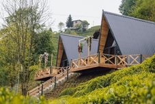 其他 Aliki Bungalow