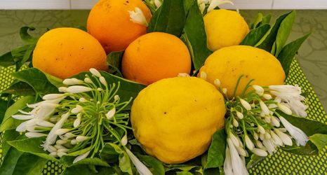 其他 2 Casa Cristina Green in Sorrento