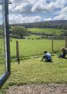 ภาพหลัก Impeccable Shepherds hut Sleeping up to 4 Guests