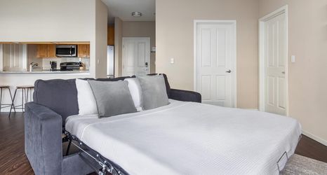 其他 2 Bellevue Designer 1BD Plus Den 1BA Apartment