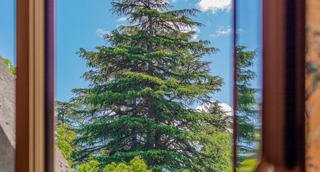 Others 2 Gothic Apartments by Wonderful Italy - 1st-floor Studio 1