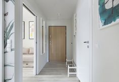 Others 3 Elite Apartments Veneto 10 Minutes Walk From the Beach Balcony Seaside