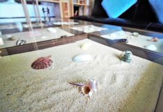 Others 5 309 10m to the Beach Rooftop Pool Gym Wi-fi Kitchen