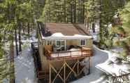 Others 3 Forested Cold Springs Cabin w/ Wood-burning Stove!