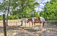 Others 5 Pet-friendly Retreat < 5 Mi to Bastrop Lake!