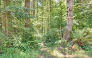 Others 4 Rustic Bandon Log Cabin on 5 Acres of Woodlands!