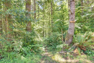 Others 4 Rustic Bandon Log Cabin on 5 Acres of Woodlands!