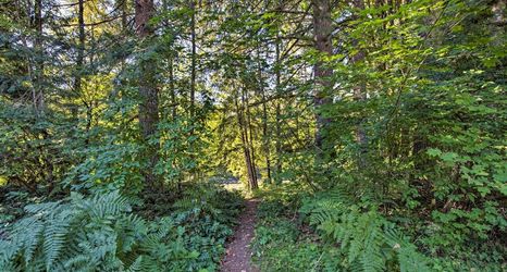 Others 2 Mysty Mountain Cabin on River: Near Stevens Pass!