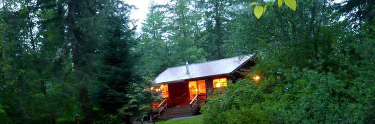 Lainnya Ashford Cabin With Hot Tub & Big Creek Views!