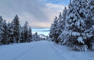 Khác 3 Adventurer's Studio ~ 20 Mi to West Yellowstone!