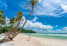 その他 6 La Palma Hotel & Spa Sunset Town Phu Quoc