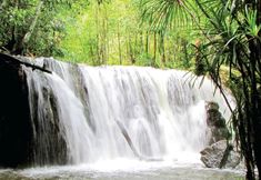 その他 7 La Palma Hotel & Spa Sunset Town Phu Quoc