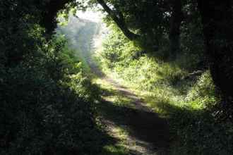 Others 4 Mill Cottage set Beside a Mill Pond in a 70 Acre Nature Reserve Bliss