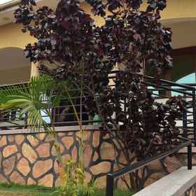 Primary image1坎帕拉五床花園與停車位住宿,最多可容納八人,瓦基索飯店