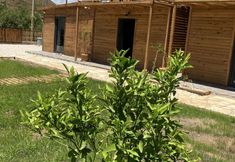 기타 5 FNM LUXURY BUNGALOVS