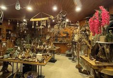 其他 2 Karadeniz Kus Cenneti Otel