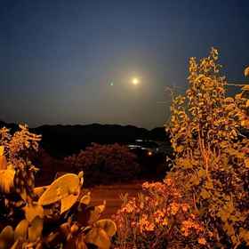 Primary image1Kekova Bakacak Pansiyon,代姆雷飯店