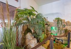 其他 3 Hotel Tanne