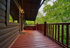 其他 5 Mountain Laurel