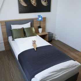 Room1溫特圖爾中心飯店,苏黎世州飯店