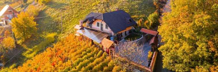 อื่นๆ Vineyard Cottage Bregač