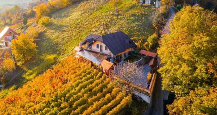 อื่นๆ Vineyard Cottage Bregač