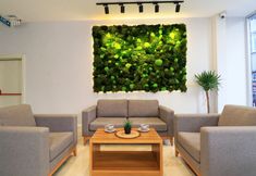 Khác 3 Almircan Hotel